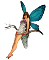 fantasy & Fairy free transparent png image.