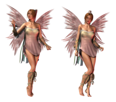 fantasy & fairy free transparent png image.