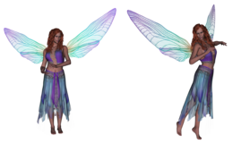 fantasy & fairy free transparent png image.