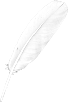 animals & Feather free transparent png image.