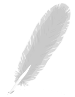 animals & feather free transparent png image.
