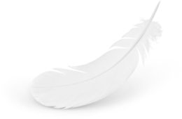 animals & Feather free transparent png image.