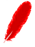 animals & Feather free transparent png image.