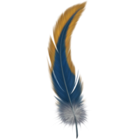 animals & feather free transparent png image.