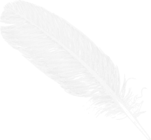 animals & Feather free transparent png image.