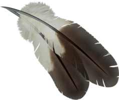 animals & Feather free transparent png image.