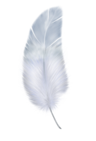 animals & feather free transparent png image.