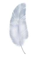 animals & Feather free transparent png image.