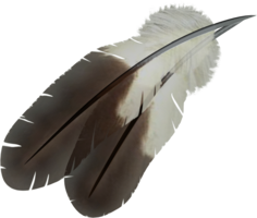 animals & Feather free transparent png image.