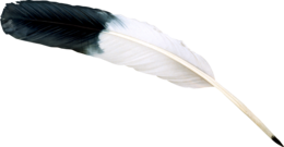 animals & Feather free transparent png image.