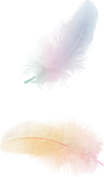 animals & Feather free transparent png image.