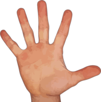 people & fingers free transparent png image.