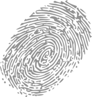 people & fingerprint free transparent png image.