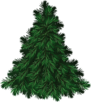 nature & Fir tree free transparent png image.