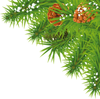 nature & fir tree free transparent png image.