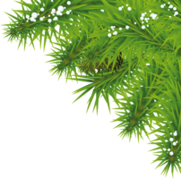 nature & Fir tree free transparent png image.