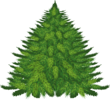 nature & Fir tree free transparent png image.