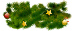 nature & fir tree free transparent png image.