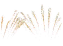 holidays & fireworks free transparent png image.