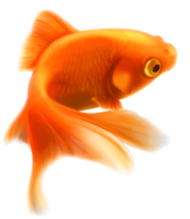 animals & Fish free transparent png image.