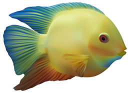 animals & Fish free transparent png image.