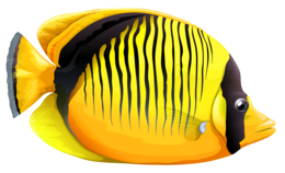 animals & Fish free transparent png image.