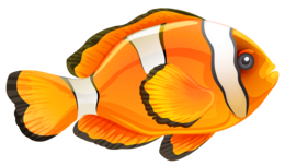 animals & Fish free transparent png image.