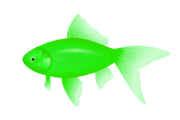 animals & Fish free transparent png image.