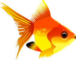 animals & Fish free transparent png image.