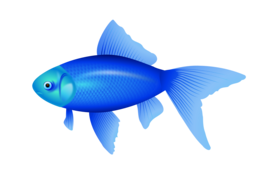 animals & fish free transparent png image.