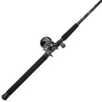 sport & fishing pole free transparent png image.