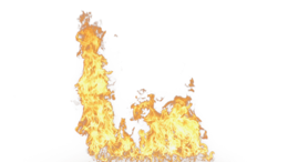 nature & flame free transparent png image.