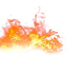 nature & flame free transparent png image.