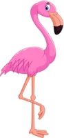 animals & Flamingo free transparent png image.