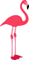 animals & flamingo free transparent png image.