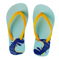 clothing & Flip flops free transparent png image.