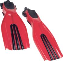 sport & flippers free transparent png image.