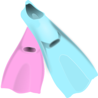 sport & Flippers free transparent png image.