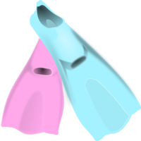 sport & flippers free transparent png image.