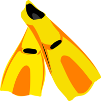 sport & Flippers free transparent png image.