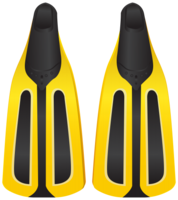 sport & flippers free transparent png image.