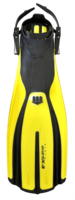 sport & flippers free transparent png image.