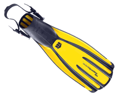 sport & flippers free transparent png image.