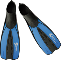 sport & flippers free transparent png image.