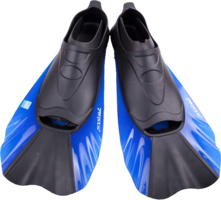 sport & flippers free transparent png image.