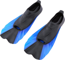 sport & Flippers free transparent png image.