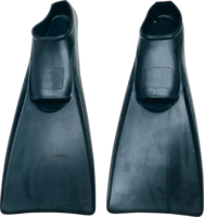 sport & flippers free transparent png image.