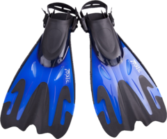 sport & Flippers free transparent png image.