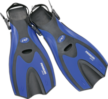 sport & Flippers free transparent png image.