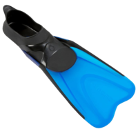 sport & Flippers free transparent png image.